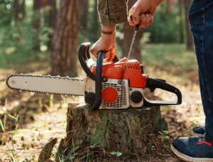 Бензопила Stihl MS 194 T: что нужно знать перед покупкой?